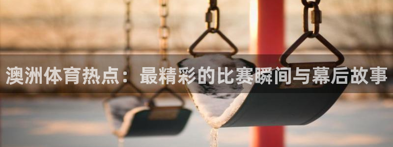杏运达贝是什么