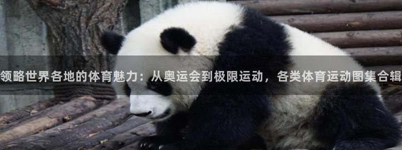 屯杏运饮料