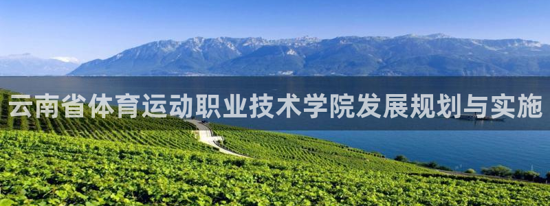 德国杏运集团