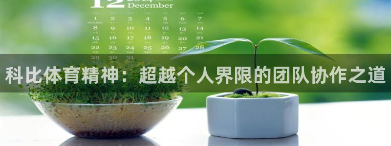 杏运f凯捷注册