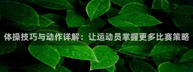 杏运体育app下载