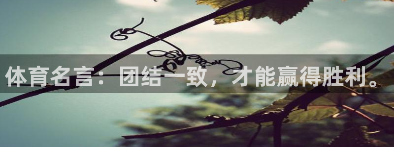 杏运体育在线注册