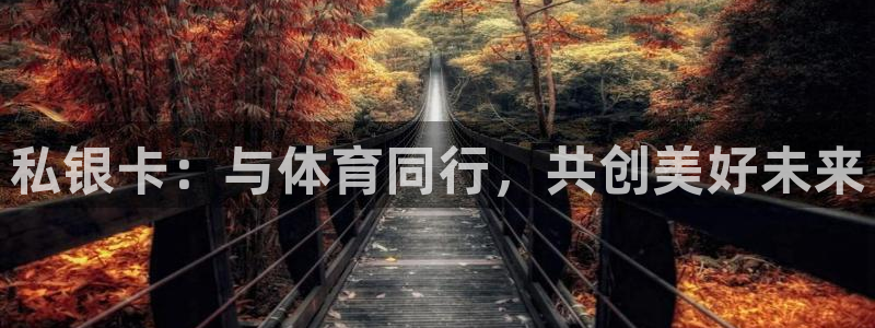 杏运4登录