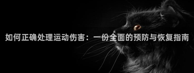 杏运体育官网入口登录