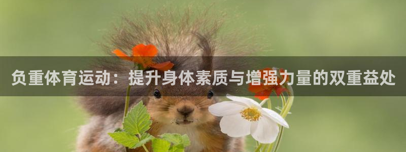 杏运体育1招商