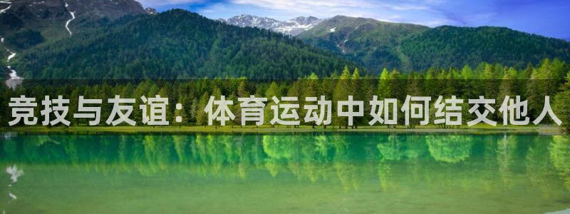 杏运体育官网入口登录