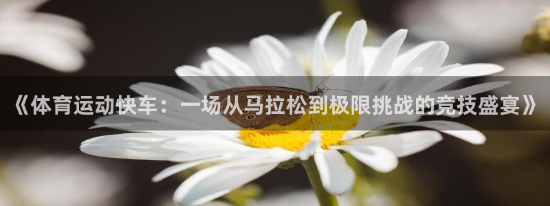 杏运体育热门赛事有哪些