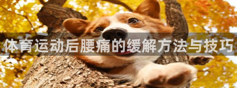 杏运体育app下载