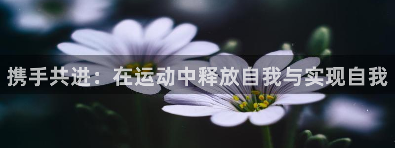 杏运体育f开户