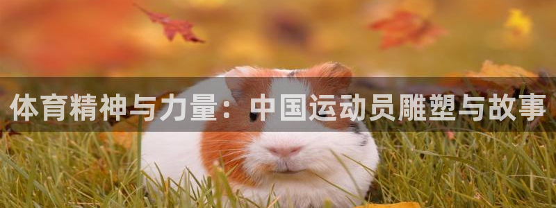 杏运体育