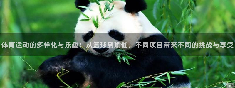 杏运招商