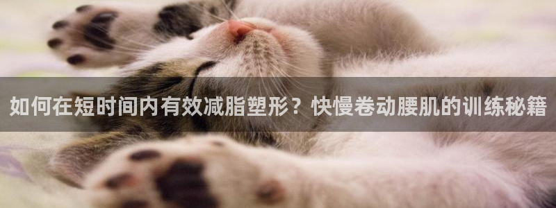 杏运娱乐代理