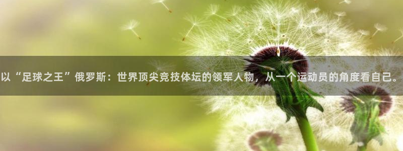 杏运集团