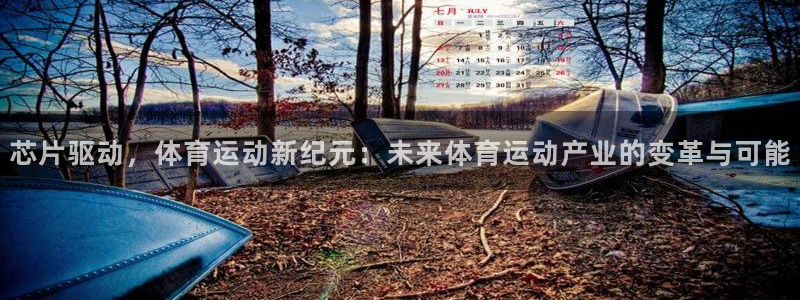 杏运凯捷平台注册链接