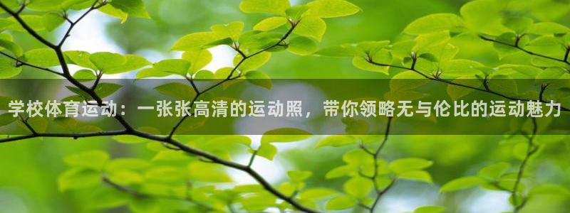 杏运汽车厂家地址