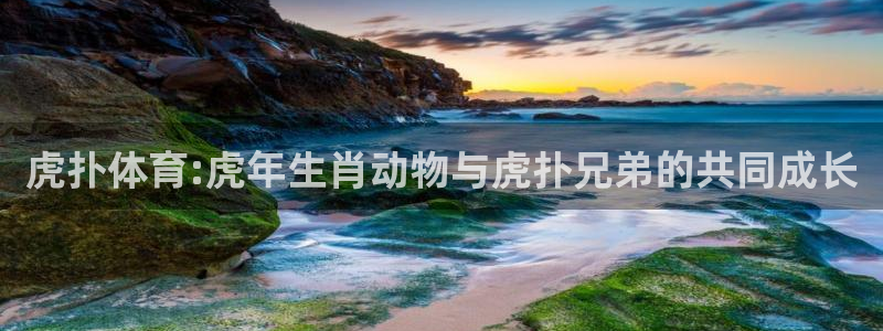 杏运礼盒