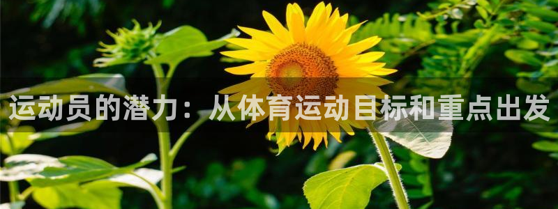 杏运达贝怎么吃