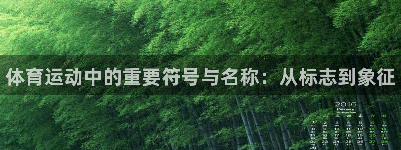 杏运体育平台注册