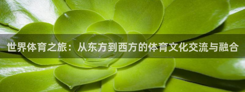 杏运3官网