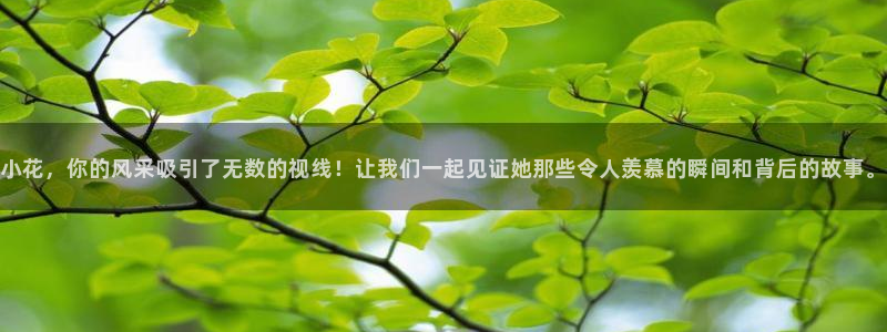 杏运科技