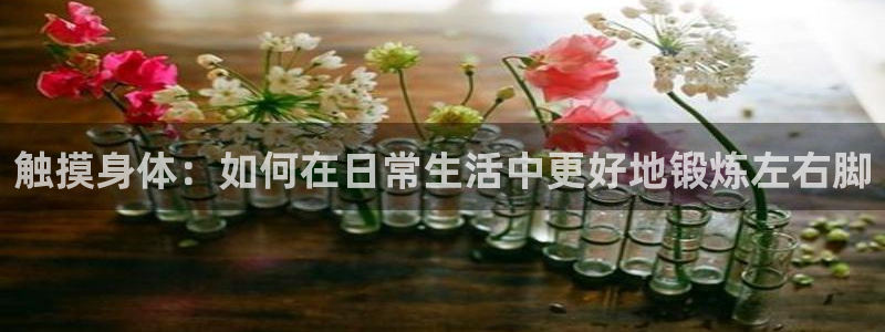 杏运平台